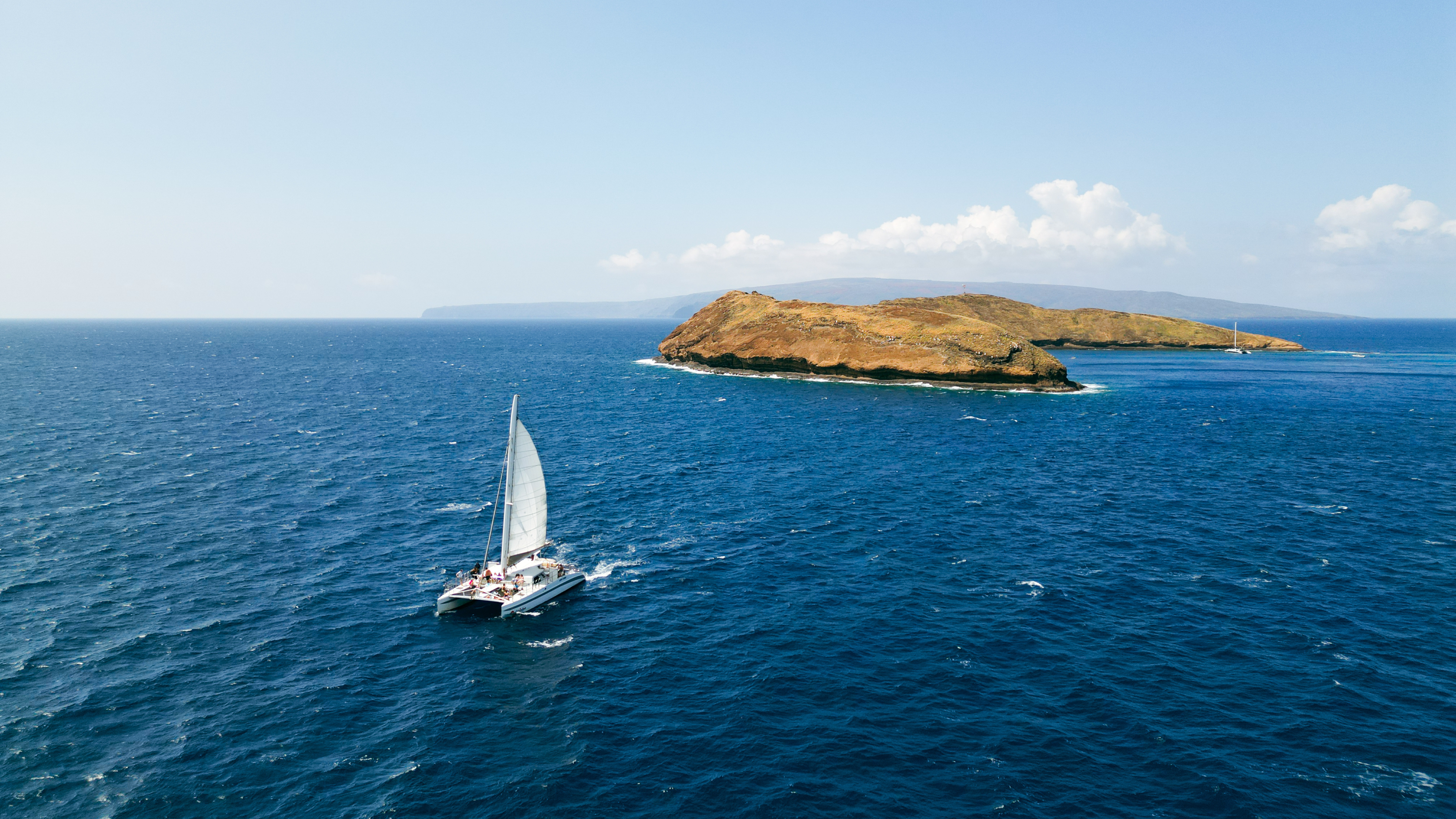 Deluxe Dolphin Adventure & Lanai Snorkel