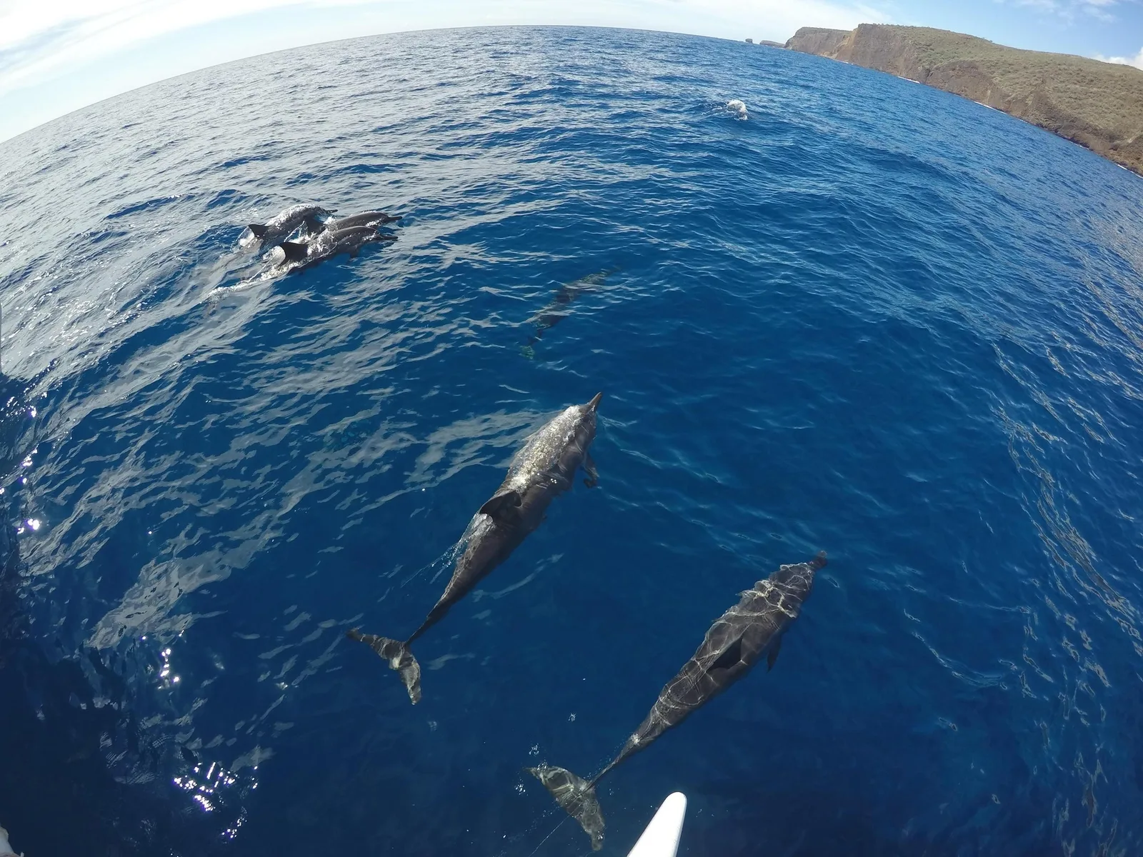 Maui Jet Ski Rental — 45 Minutes